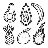 Tropical fruits set. Doodle style. Fruit collection banana, avocado, pineapple, papaya, dragon fruit. Vector illustration. Drawn fruits.