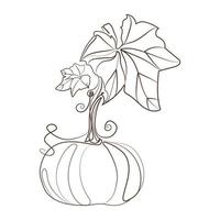 Pumpkin with stem and leaves line art drawing style vector illustration.Minimalist liner sketch pumpkin isolated on white background.