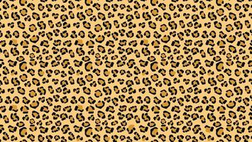 tracería de piel de tigre con fondo amarillo. manchas de pantera con contornos de camuflaje de puma negro en un esquema de color de vector de leopardo blanco.