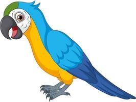 Cute macaw cartoon on white background vector