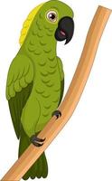 Cute macaw cartoon on tree branch vector