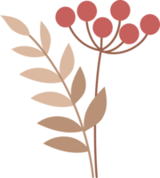 Branch of red berries with leaves png