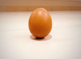 Egg Pro Photo