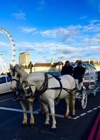 Horse and Carriage Pro Photo