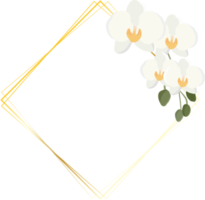 minimal flat style white Phalaenopsis orchid wreath with golden frame png