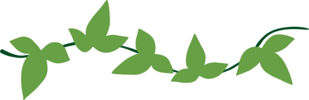 simplicity ivy freehand drawing flat design png