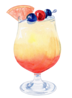 Cóctel de naranja tropical de frutas dibujadas a mano con color de agua con decoración de rodajas de pomelo aislado en fondo blanco. tequila amanecer bebida alcohólica png