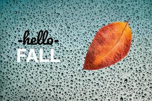 Hello Fall card with autumn leaf on wet window and greeting text photo