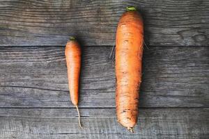 zanahorias grandes y pequeñas, el tamaño importa el concepto, la autoestima, la confianza en uno mismo y el problema del tamaño foto