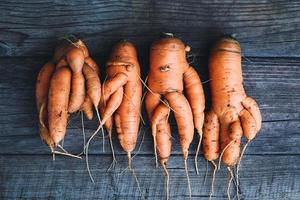 Ugly vegetables, homegrown carrots with twisted roots on wooden table photo