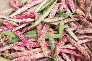 Colorful pattern with green and pink haricots photo