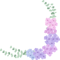 platt stil hortensia blomma bukett krans med gyllene lyx ram png