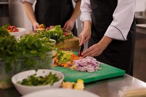 team cooks and chefs preparing meal photo