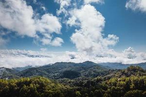 blue sky with clouds green forest in the morning photo