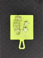 Green star fruit slices photo