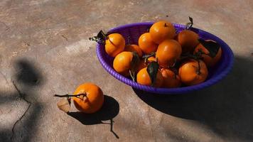 mandarinas cítricos en cesta morada sobre fondo de cemento expuesto 04 foto
