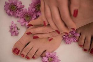 female feet and hands at spa salon photo