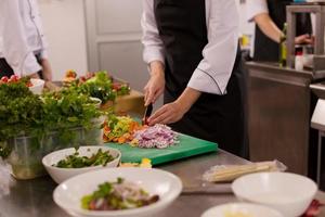 team cooks and chefs preparing meal photo