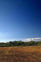 Sunny day and dramatic sky photo