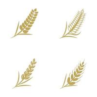 Wheat Logo template vector illustration design