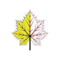 Maple leaf logo Template vector icon illustration design