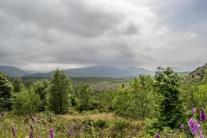 Summer Landscape Hills and Horizon photo