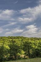 Summer Landscape Hills and Horizon photo