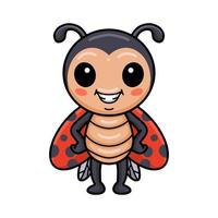 Cute little ladybug cartoon standing vector