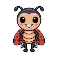 Cute little ladybug cartoon standing vector