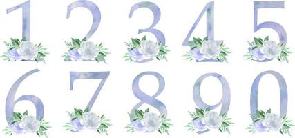 Watercolor blue numbers with peonies flowers and leves. Floral number 0-9. Romantic set for wedding invitations and cards vector