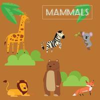 Set of Mammals vector
