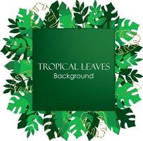 tropical decorado con lineas doradas y fondo blanco. fondo con hojas de palma, hojas de plátano y monstera. decoración de marco de hojas tropicales de patrón desvergonzado. isla tropical icónica de verano vector