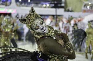 Rio, Brazil - february 12, 2018 - Samba School parade in Sambodromo. Mangueira photo