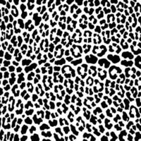 Animal skin print pattern. Cheetah, leopard, jaguar, panther fur. Black and white animal print pattern seamless. vector