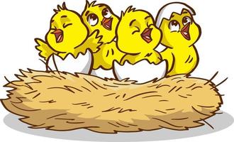 Chicken hatching from the egg. Cartoon baby chick birthday step-by-step process. Funny and educational illustration for kids. vector