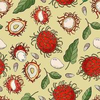 Seamless pattern with rambutans. Design for fabric, textile, wallpaper, packaging. vector