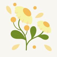 Yellow daisy flower for spring ornament, sticker, icon, or digital printing. Bright and beautiful floral. vector