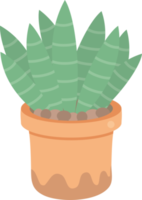 cute minimal cactus and succulent in pot png