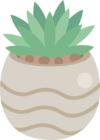 cute minimal cactus and succulent in pot png