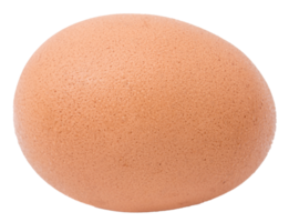 huevo de gallina aislado png