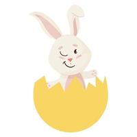 Bunny. Cute Rabbit winks into Broken Egg. vector