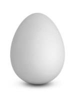 The Chicken egg photo