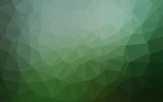 Light Green vector abstract polygonal layout.