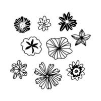 dibujos florales en blanco y negro vector