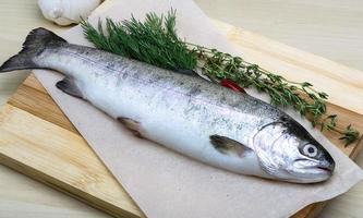 Raw trout on wooden board and wooden background photo