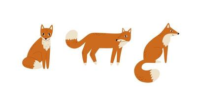 set of hand drawn foxes in flat style. vector illustration.