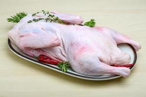 Raw duck on the plate and wooden background photo