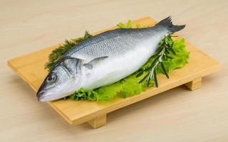 Raw seabass on wooden board and wooden background photo