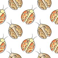 Seamless pattern hand drawn ladybug color version vector