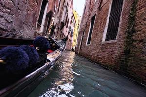 Venice Italy view photo